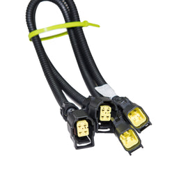 CAS-105067-2.jpg