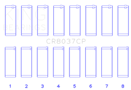 CR8037CP.png