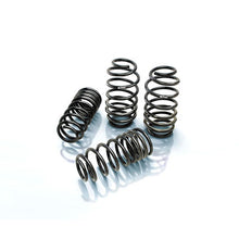 Load image into Gallery viewer, PRO-KIT Performance Springs (Set of 4 Springs)