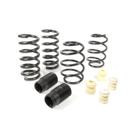 Coil Spring Lowering Kit