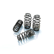 Load image into Gallery viewer, PRO-KIT Performance Springs (Set of 4 Springs)
