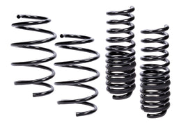 Coil Spring Lowering Kit