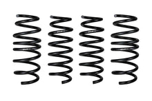 Load image into Gallery viewer, PRO-KIT Performance Springs (Set of 4 Springs)