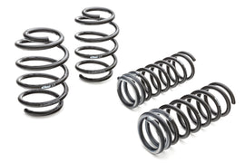 Coil Spring Lowering Kit
