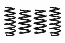 Coil Spring Lowering Kit