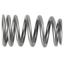Load image into Gallery viewer, Beehive Valve Spring Set 1219X
