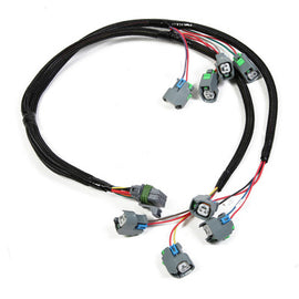 Holley Dominator EV6 Wiring Harness