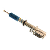Motorsports - Suspension Strut Assembly