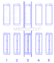 Load image into Gallery viewer, MB5503XP.png