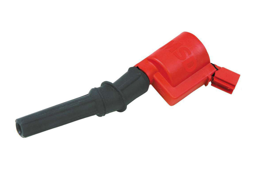 MSD8242.jpg