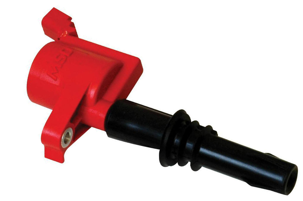 MSD8243.jpg