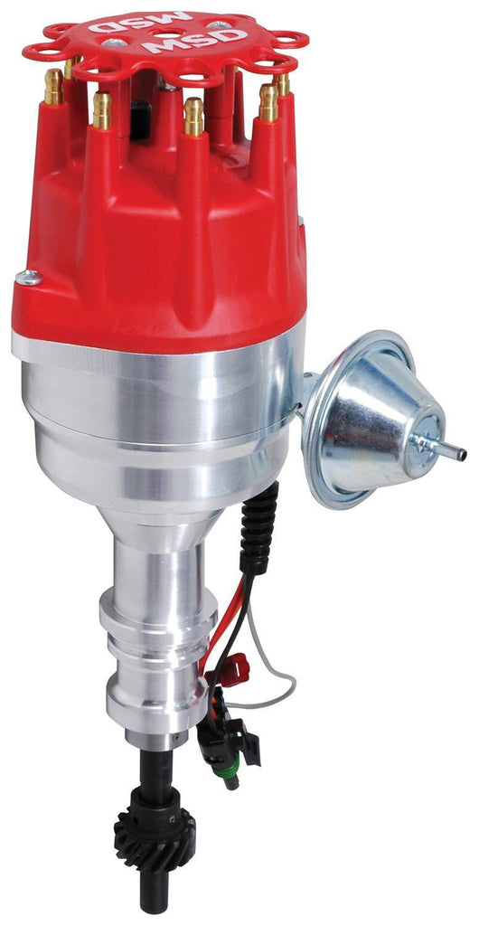 MSD8354.jpg