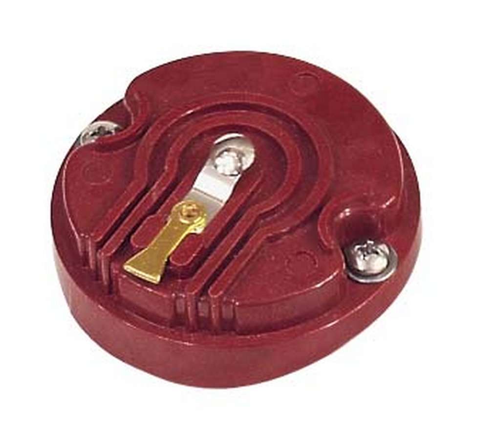 MSD8470.jpg
