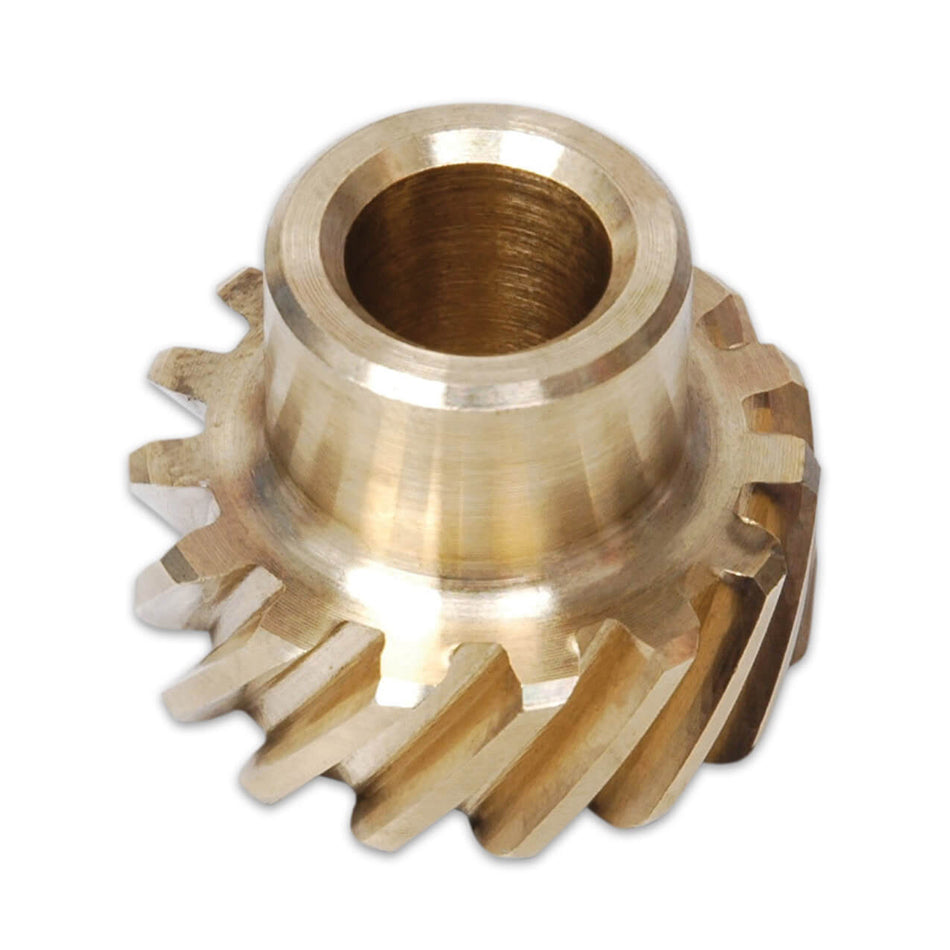 MSD8583.jpg