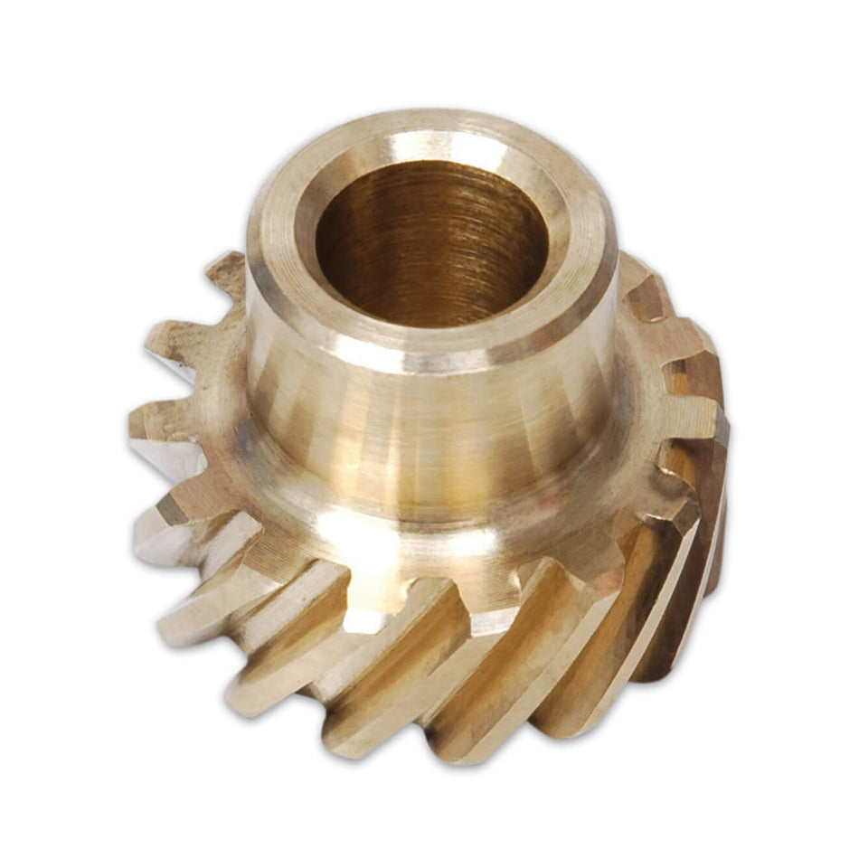 MSD8585.jpg