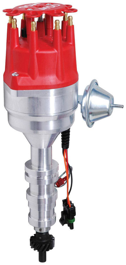 MSD8595.jpg