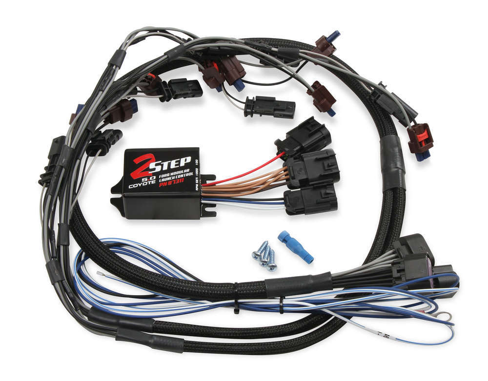MSD87311.jpg