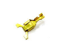 Load image into Gallery viewer, MSDCON13651.jpg