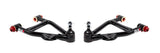QA1 52540 Race Lower Control Arm, 79-93 Mustang