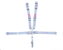 Load image into Gallery viewer, 5-pt Harness System FX P/D W/A Ind 62in