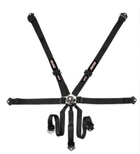 Load image into Gallery viewer, Harness Camlock 7-Pt 2in P/D Black