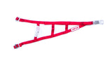 Window Net Sprint Car