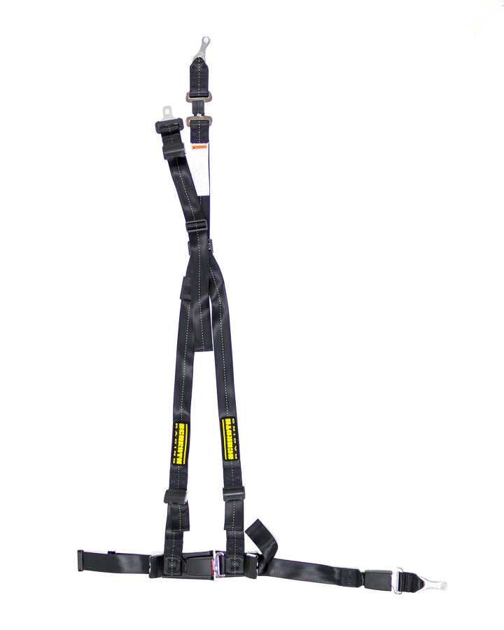 SRBSR17110.jpg