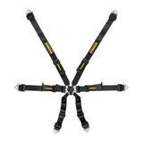 6pt Harness Flexi Black FIA Hans