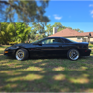 Lowering springs, rear, 1.25