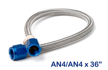 Load image into Gallery viewer, bluehose-436a.jpg