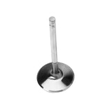 Engine Intake Valve