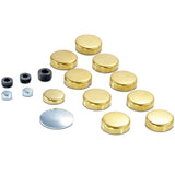 Engine Expansion Plug Kit