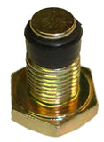 Engine Oil Drain Plug