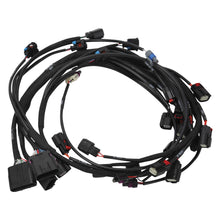 Load image into Gallery viewer, 036110_v2.jpg