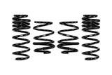 Coil Spring Lowering Kit