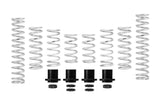 Set of 8 Springs + Hardware