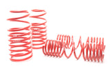 H&R Springs Race Spring Kit