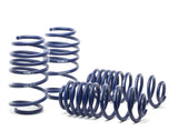H&R Springs Race Spring Kit
