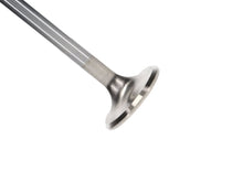 Load image into Gallery viewer, 11827-ANG_2000x2000.jpg