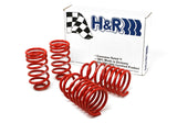 H&R Springs Race Spring Kit