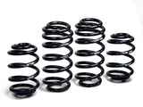 H&R Springs Sport Spring Kit